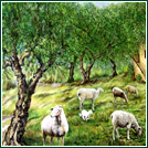 Auftragsarbeit, Feinkostladen Aras