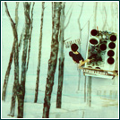 Prospektmalerei auf Tüll 