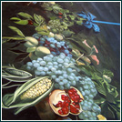 Erntesofitte 15,00 x 5,60 