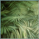 Prospektmalerei für 